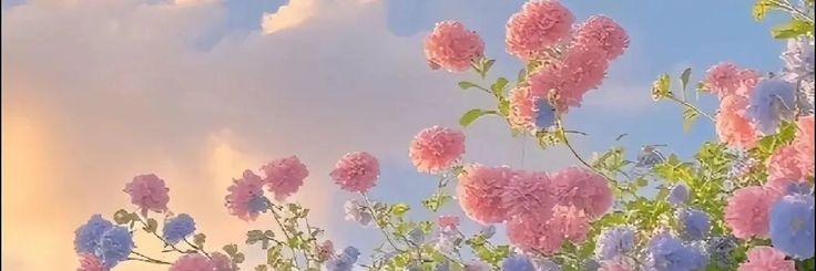einallearchive's profile banner image