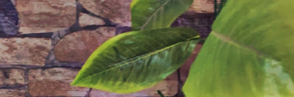 anwar__sarwi's profile banner image
