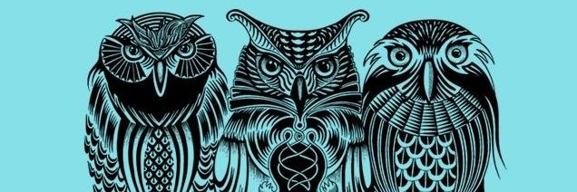 mzinab786's profile banner image