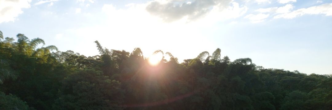 borbolef's profile banner image