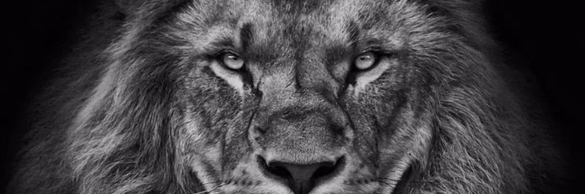 brianrmolina's profile banner image