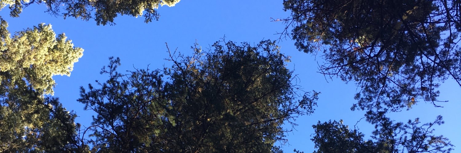 jshnlsn's profile banner image