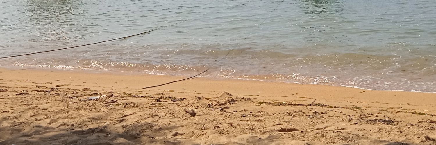wandaprmth's profile banner image