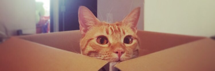 LeslieNails's profile banner image