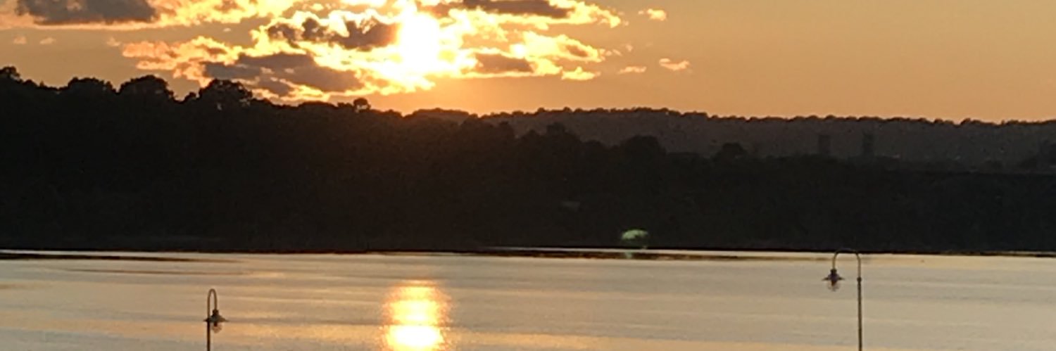 LaineM11's profile banner image