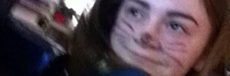thealpharaptor's profile banner image