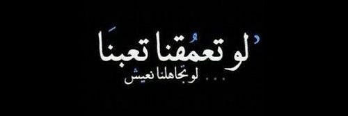 almalikh's profile banner image