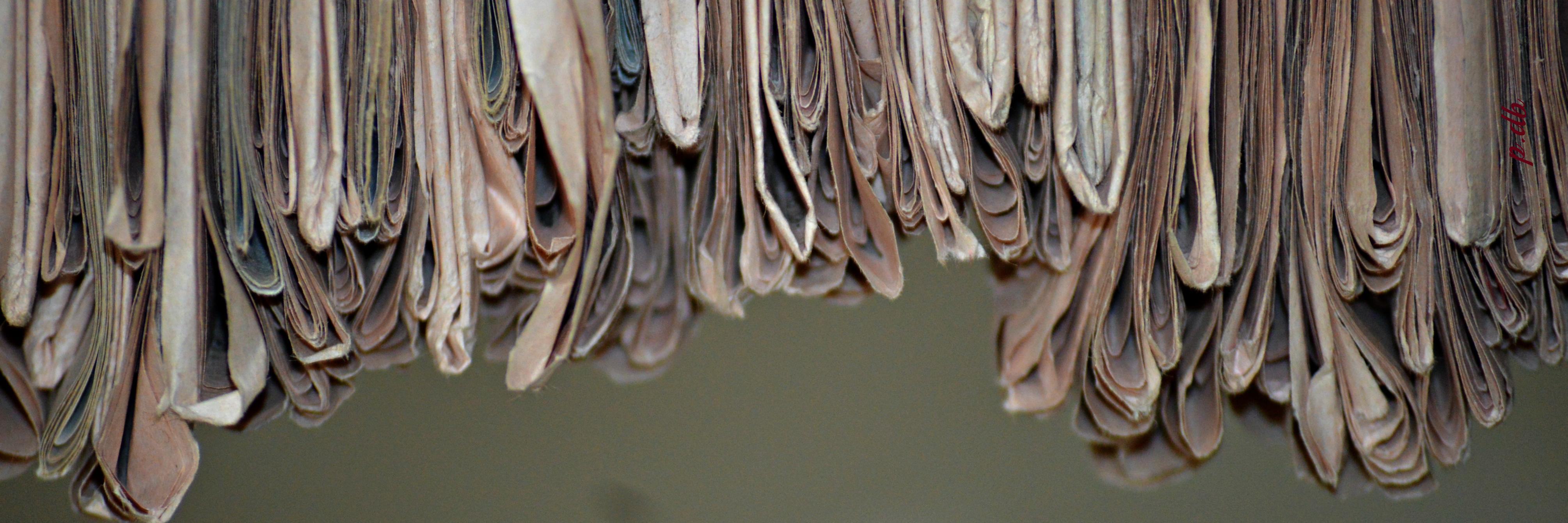 dpbhattacharya's profile banner image
