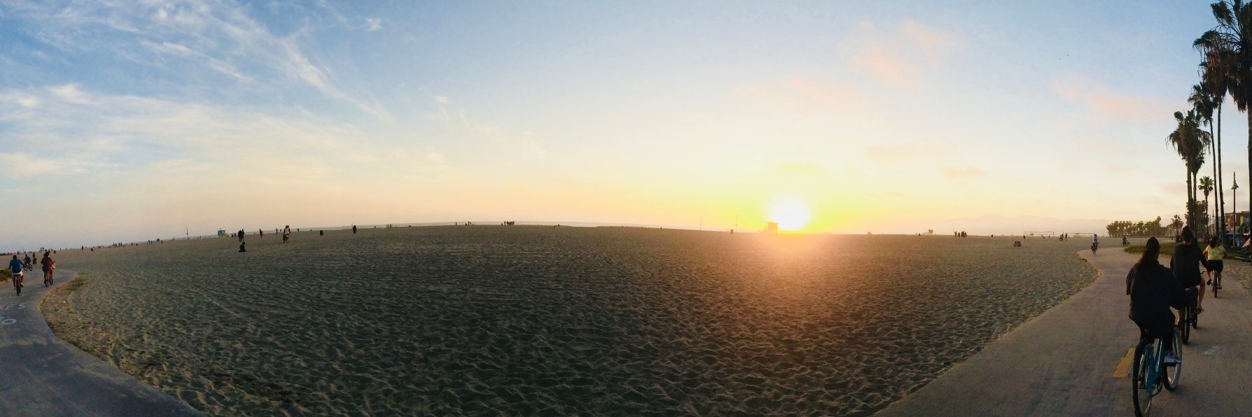 marshleila1's profile banner image