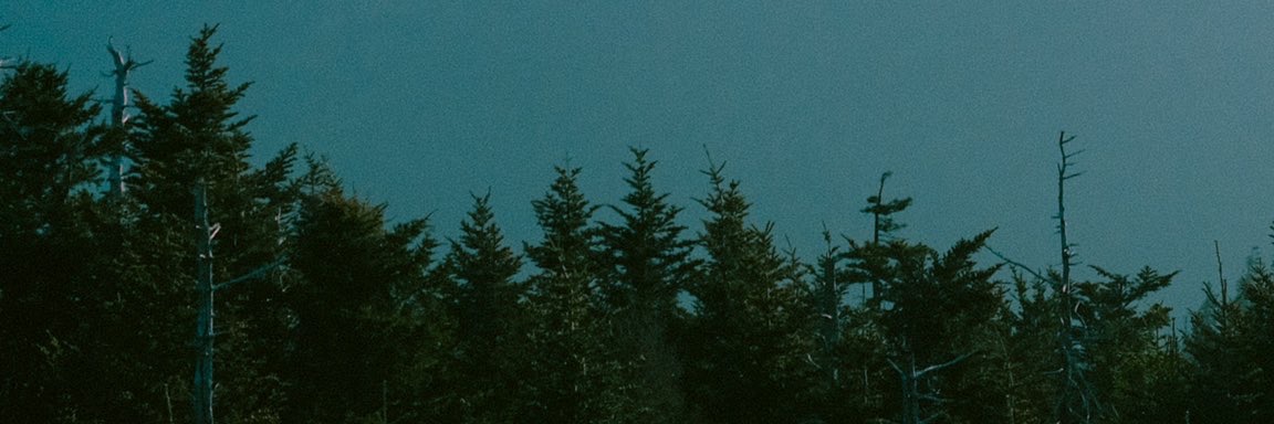 Halimuyak1991's profile banner image