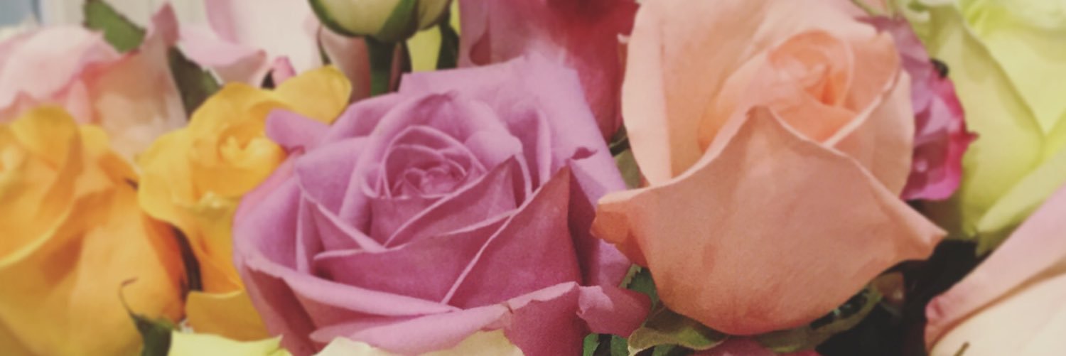 lomalley517's profile banner image