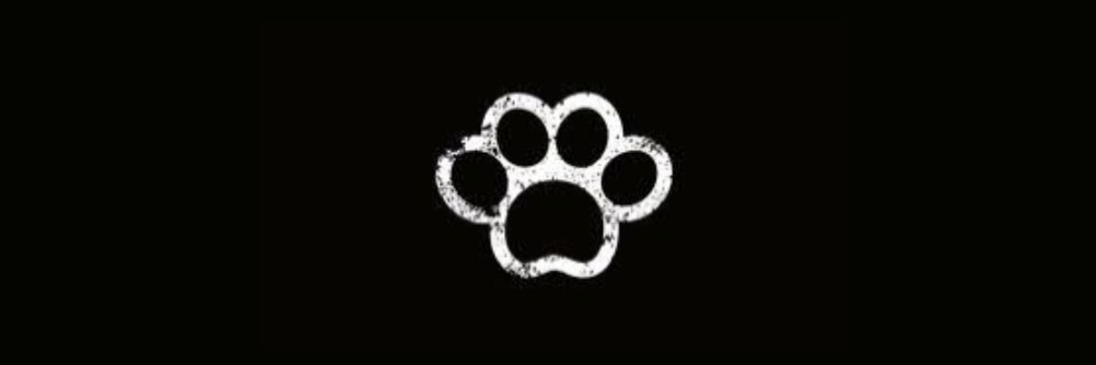 ijupplestari's profile banner image