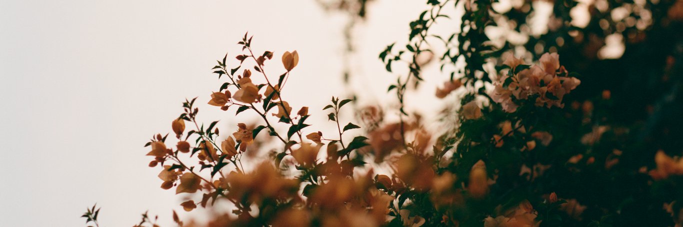 teddyfitzhugh's profile banner image