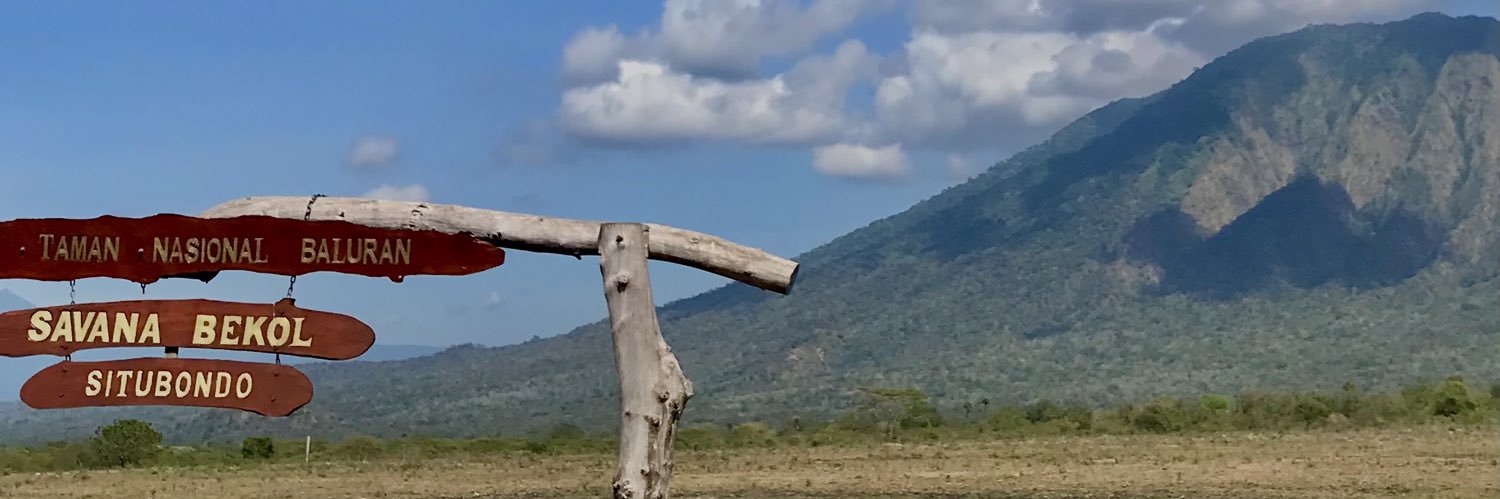 sekenthing's profile banner image