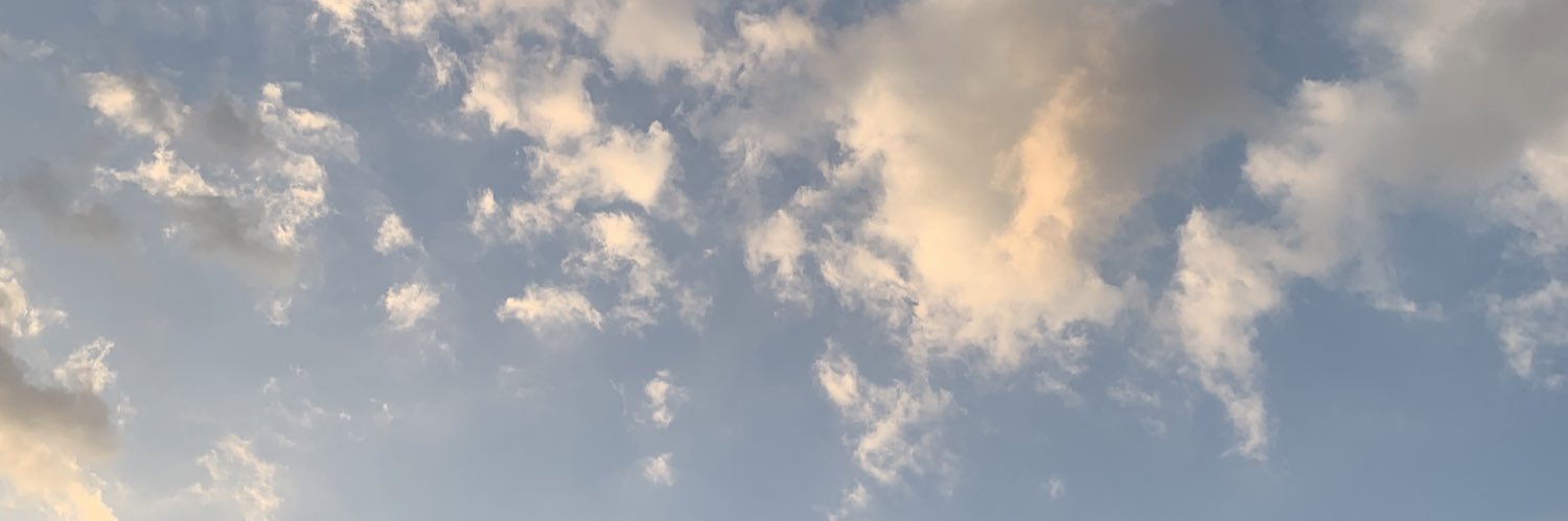 liviarhm's profile banner image