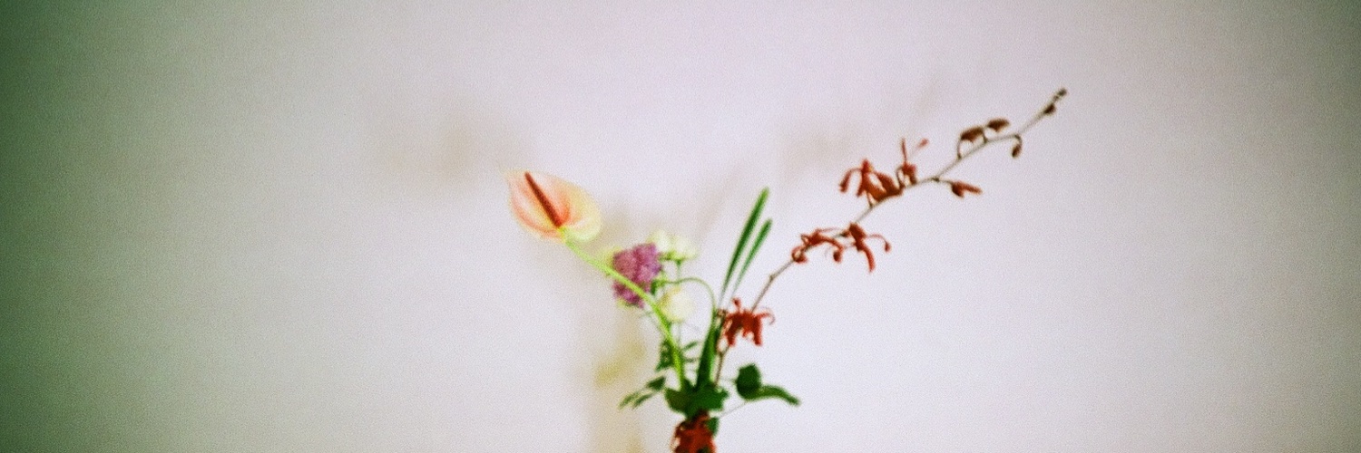 mimimi31245's profile banner image
