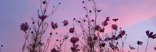 Louise_Mary_'s profile banner image