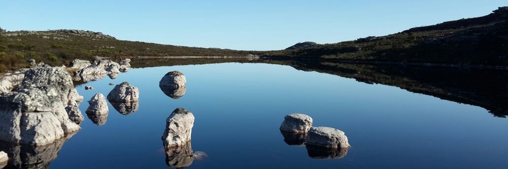 Ursula Forrest banner