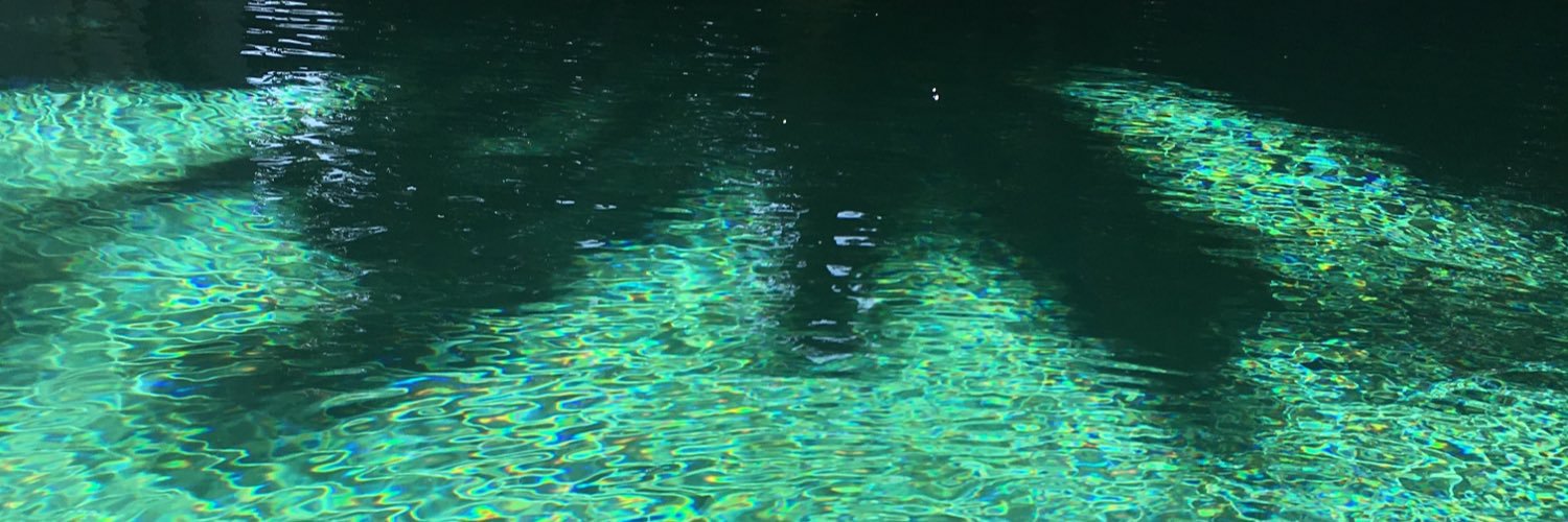 Isabellemcnally's profile banner image