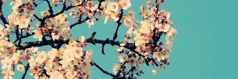xthisisshe's profile banner image