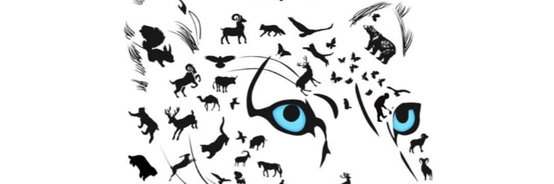 baithamabbas's profile banner image