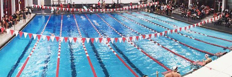 Doug Schranck banner