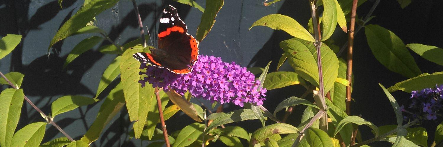 madelinejwaters's profile banner image