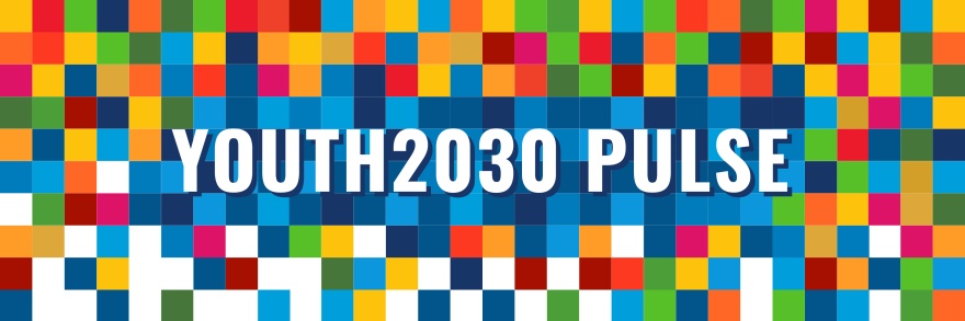 HM. Priscila I banner