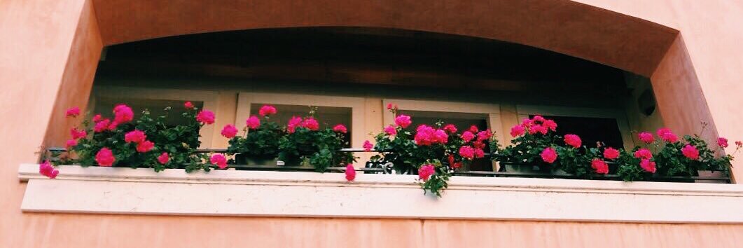 LauraSilva52's profile banner image