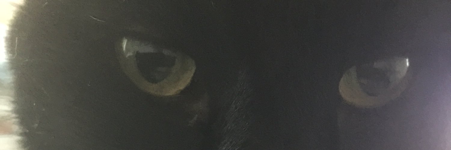 madgeman's profile banner image
