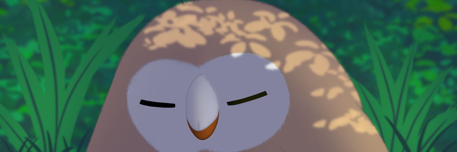 Rowlet 🇵🇸 banner