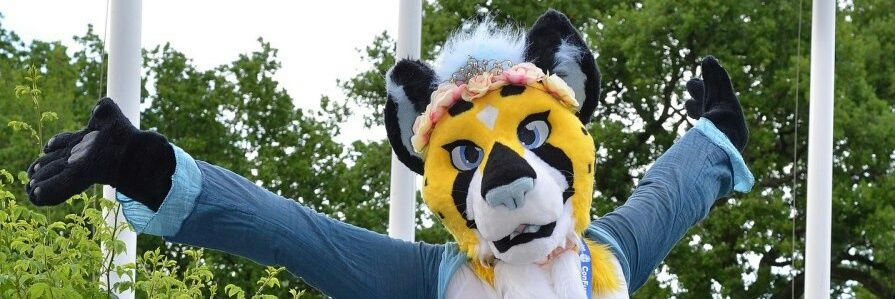 TolcoCheetah's profile banner image
