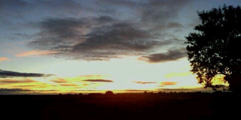 LauriLau_'s profile banner image