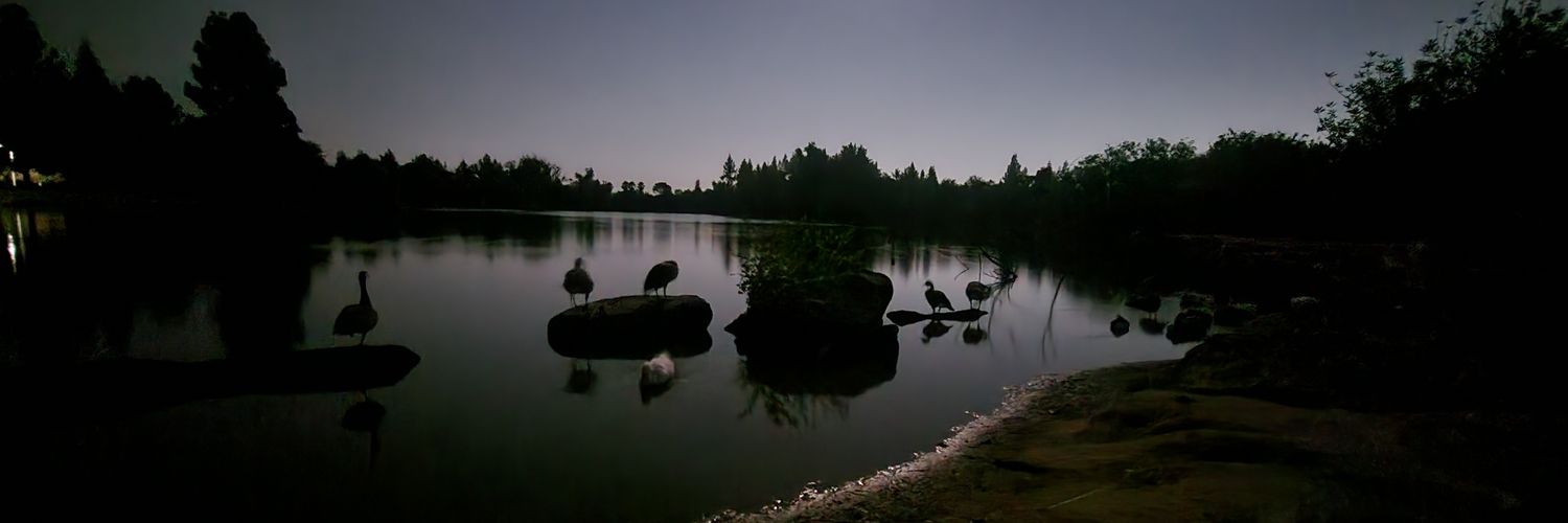 Eden_Fell's profile banner image