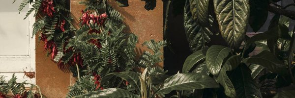 aatermelon Profile Banner