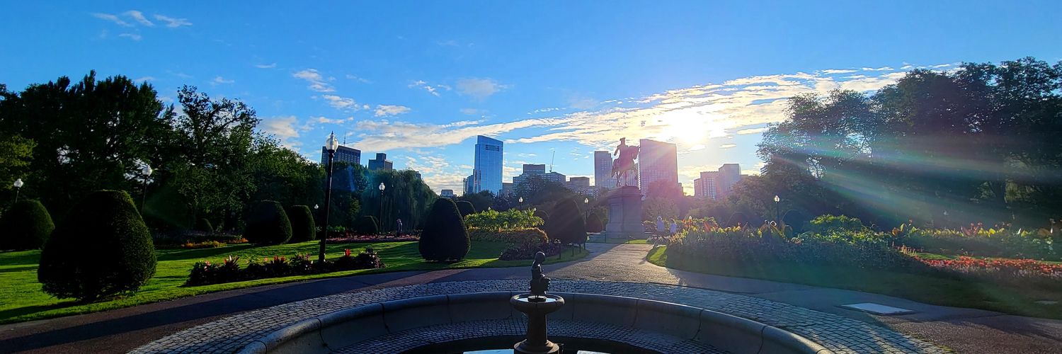 Ed Patrick Gavaghan banner