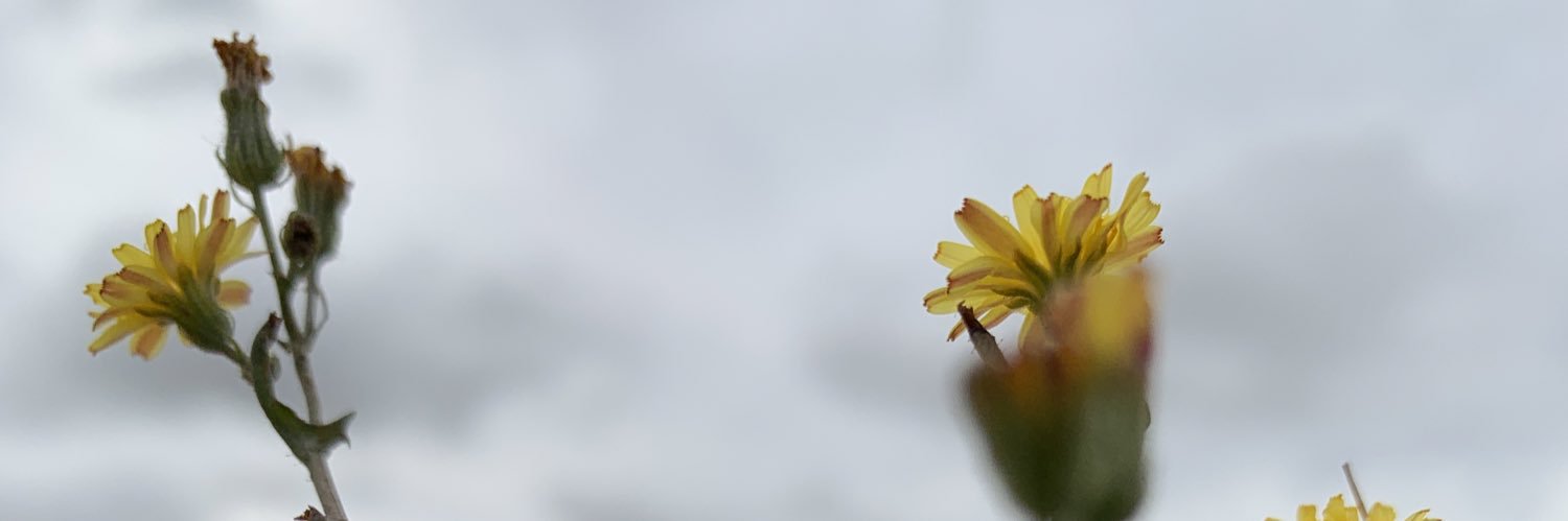 magskl75's profile banner image