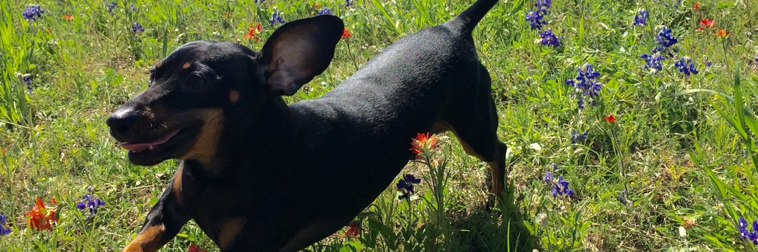 BATGRL9's profile banner image