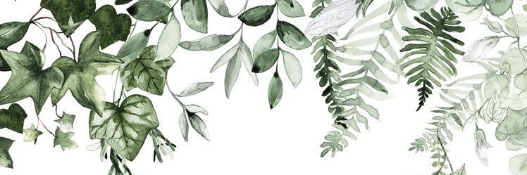mjpeicott's profile banner image