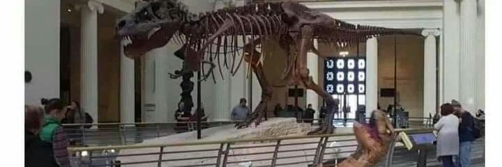 badkayman's profile banner image