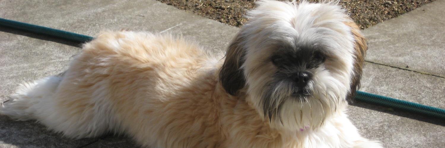 Vanessa McFlinn banner