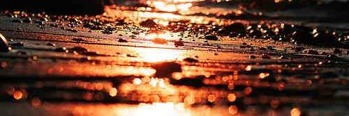 Jami_nj's profile banner image
