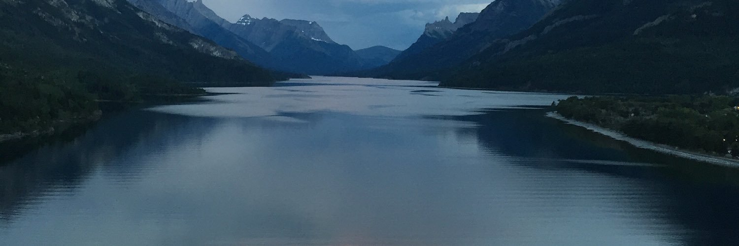 calderbear's profile banner image