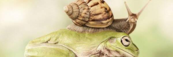 ahiru_com's profile banner image