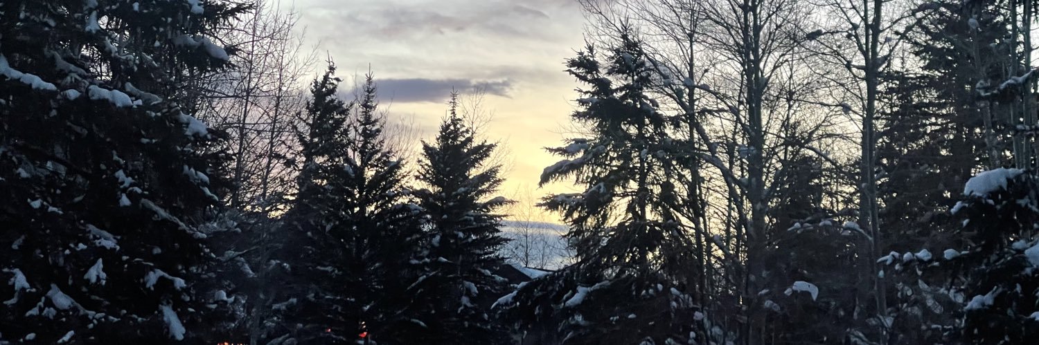 KateRiceViews's profile banner image