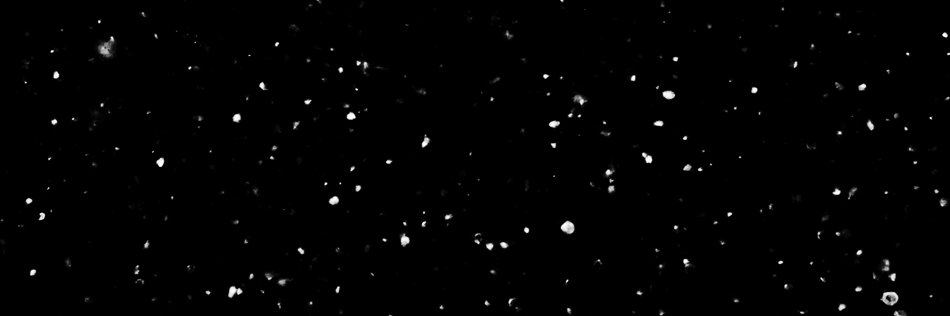 Basi banner
