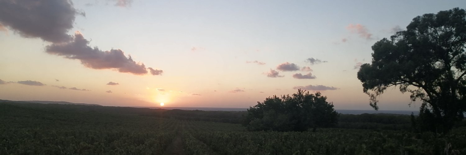 Skander Djerbi banner