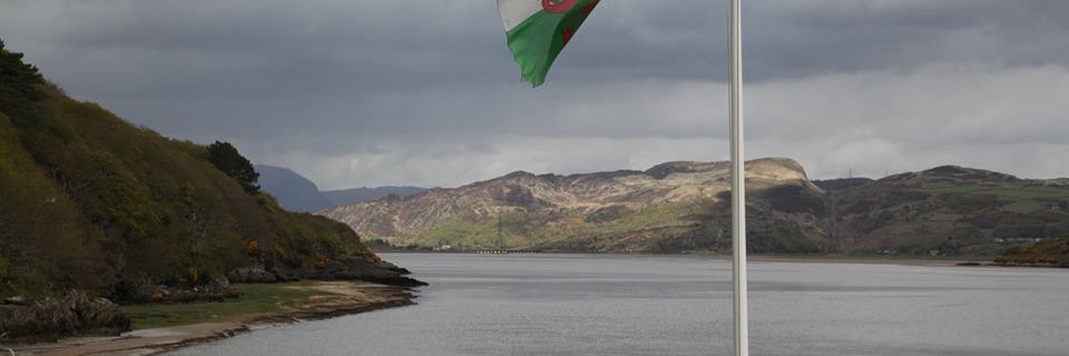 gareth_vaughan's profile banner image