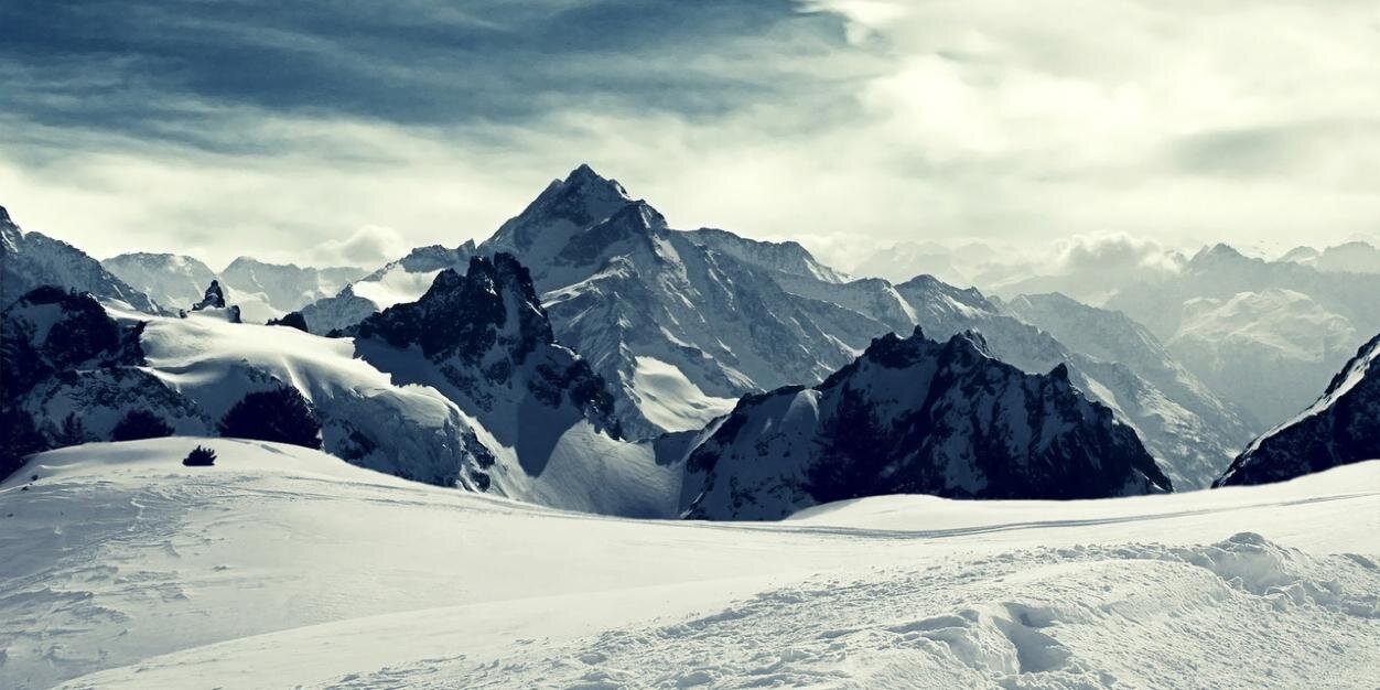 Outdoor Medicine banner