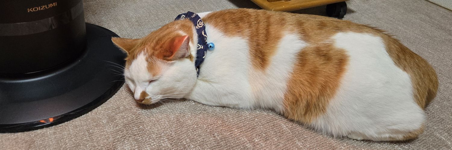 よしとろっくす🫴🌪️渡邉義人 banner